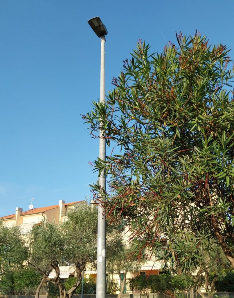 Nuovi Punti Luce Loano
