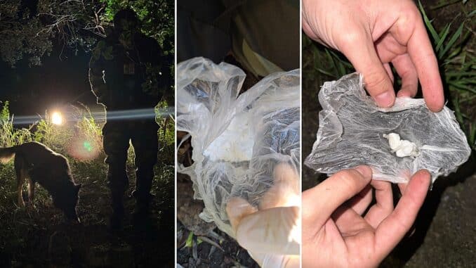 Olive e Cocaina operazione di polizia
