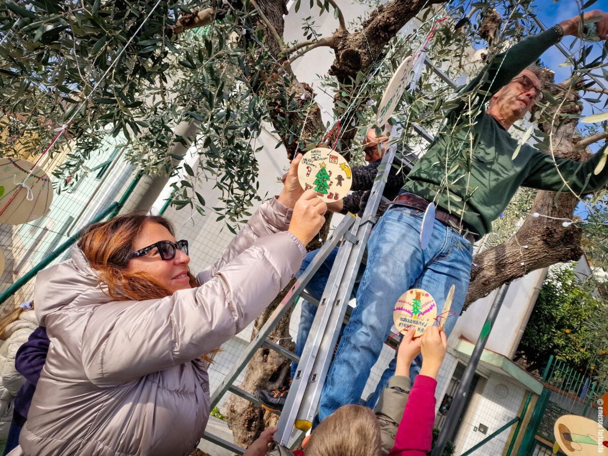 Natale a Moglio con albero ecologico dedicato alla pace _Foto Emerson Fortunato