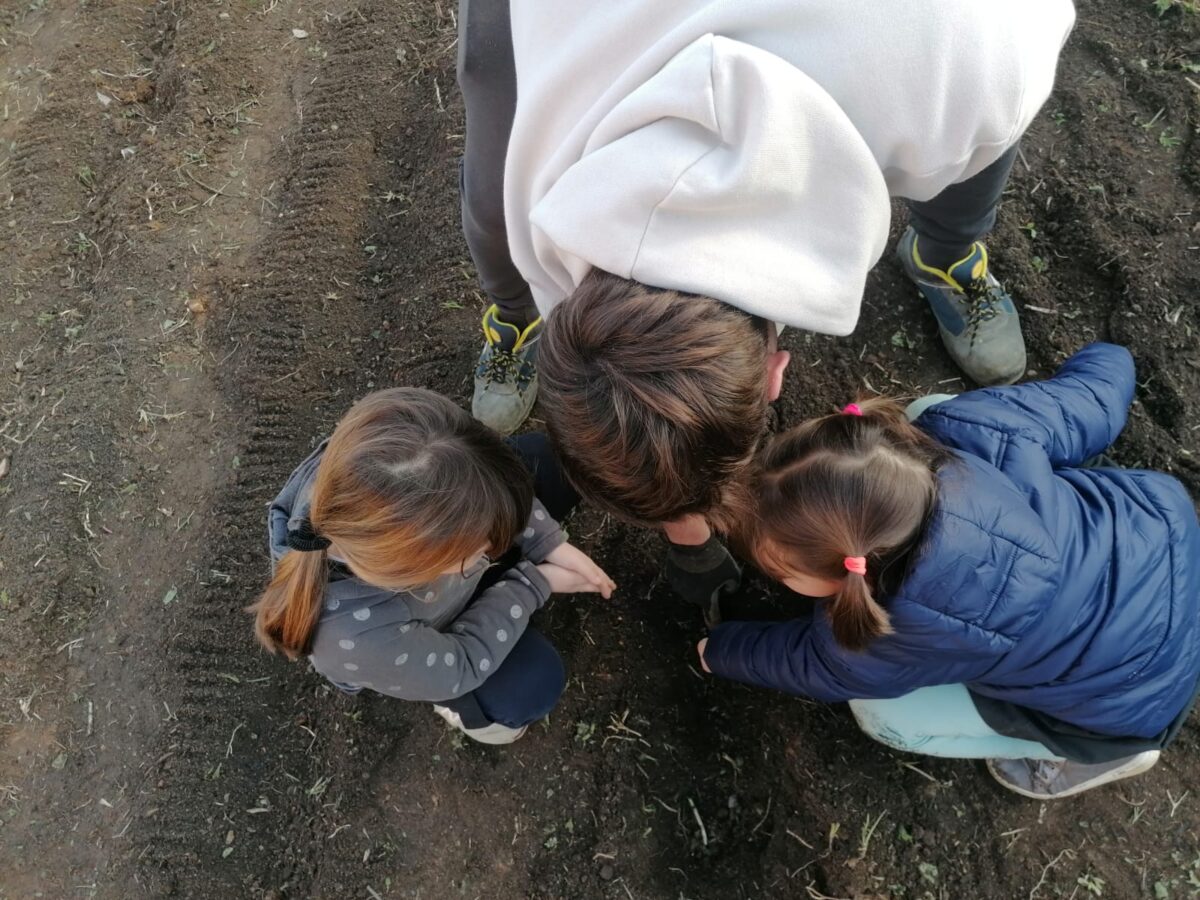 campochiesa progetto doposcuola