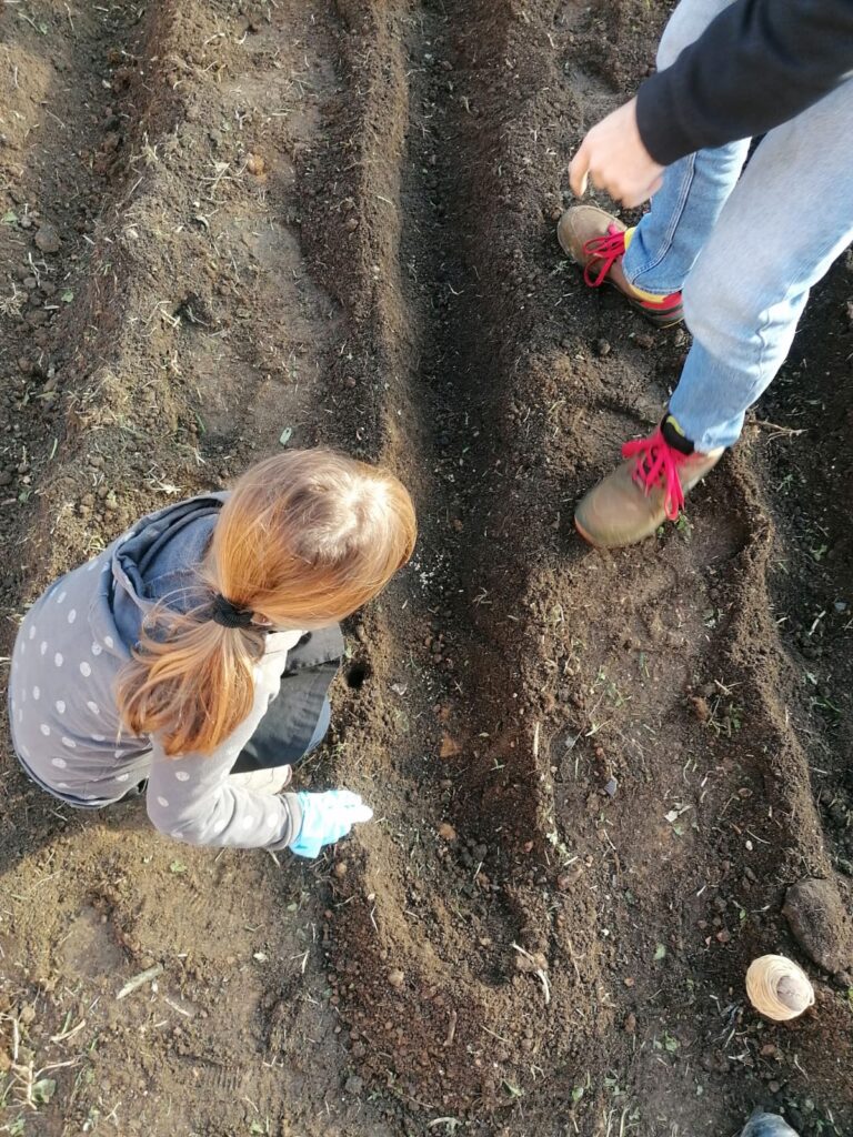 campochiesa progetto doposcuola