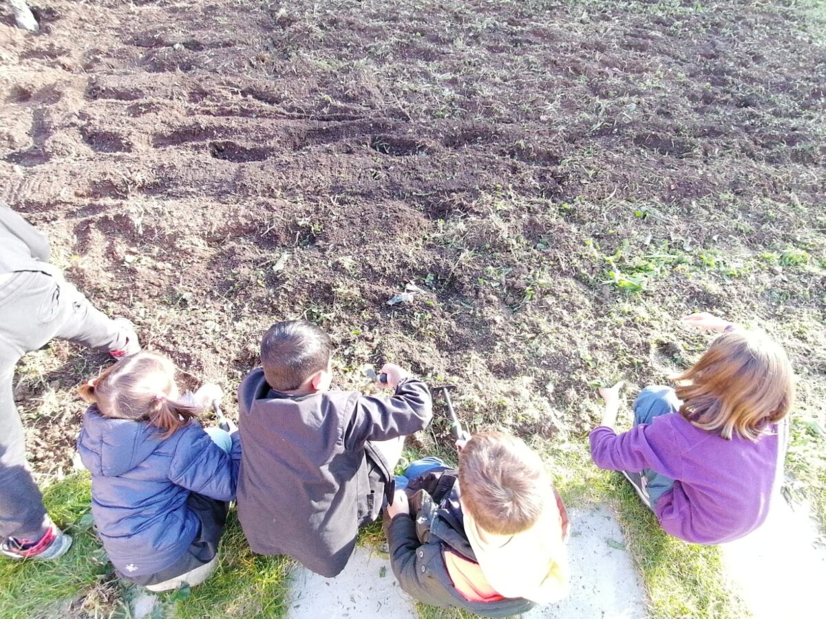 campochiesa progetto doposcuola