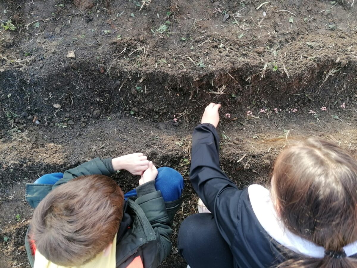 campochiesa progetto doposcuola