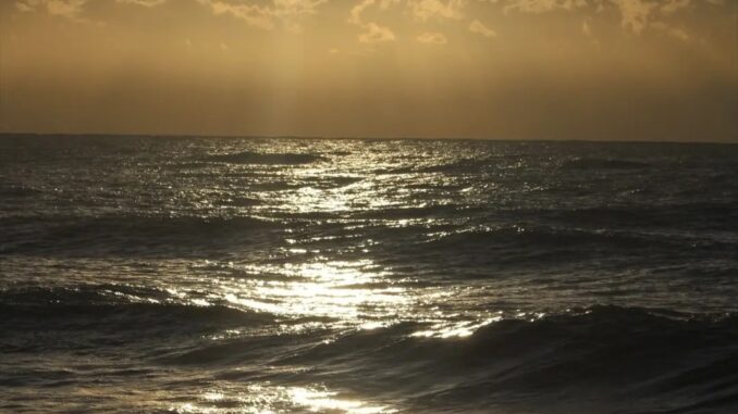 riflessi di luce e di mare