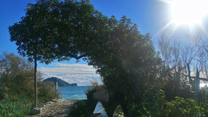 All'ombra dell'isola