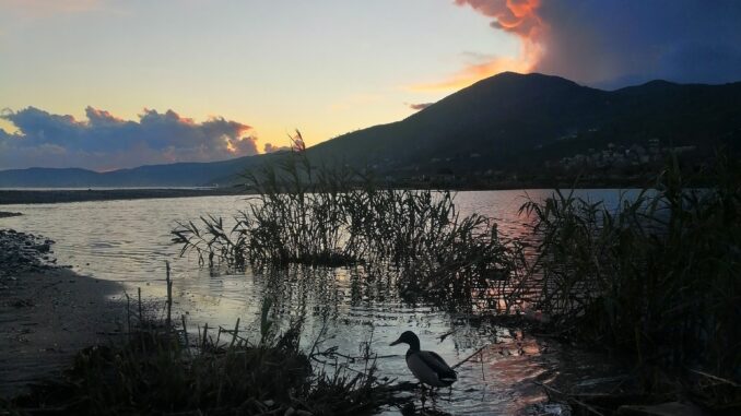 in perlustrazione