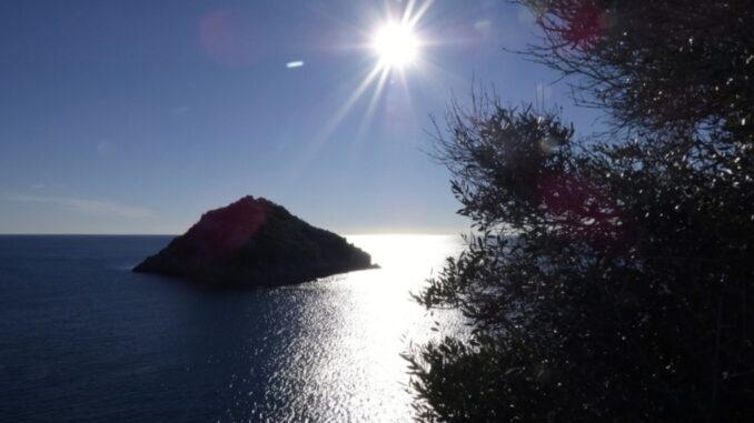 all'ombra dell'isola