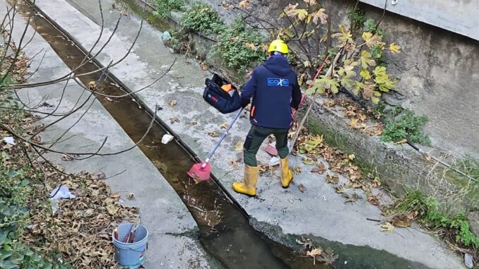 Rio Gonghe Caudi