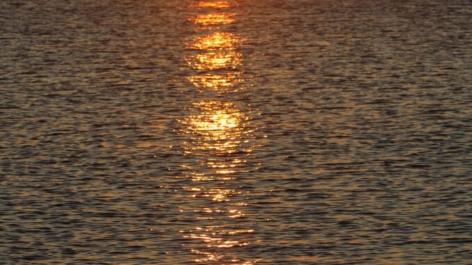 il rosso delmare