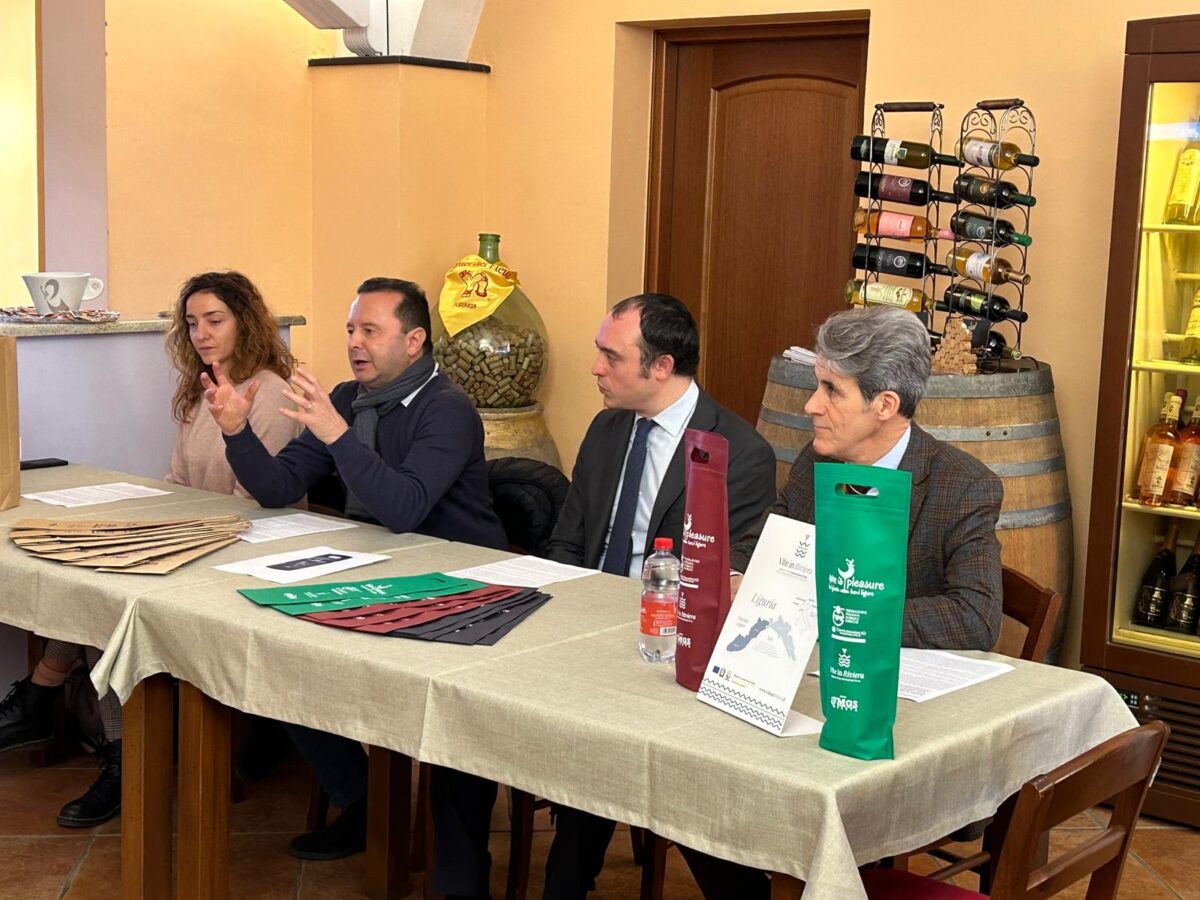 vino