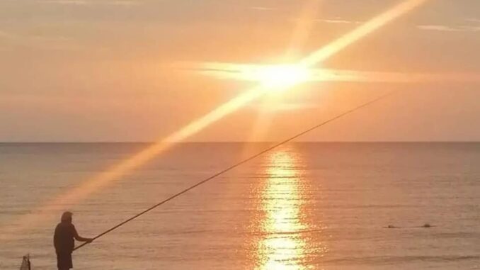la pesca del sole