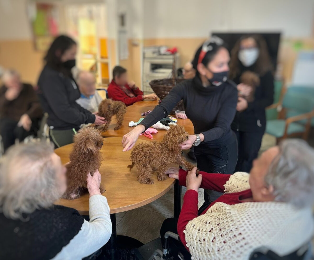 pet-therapy