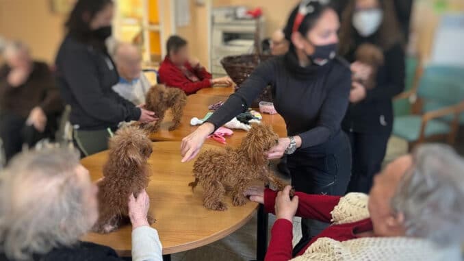 pet-therapy