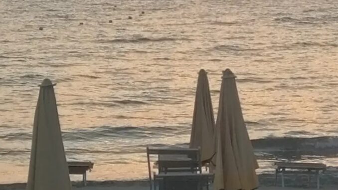 seguendo le boe verso la luna