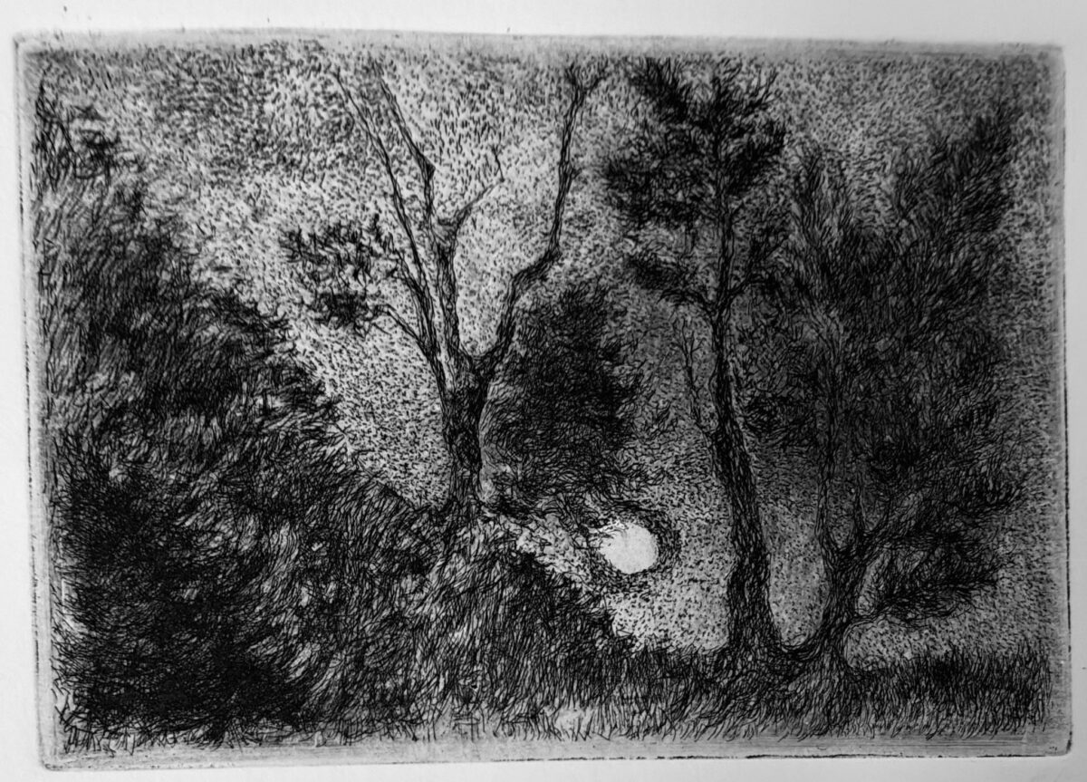 Stefania Loreto Oltre il bosco