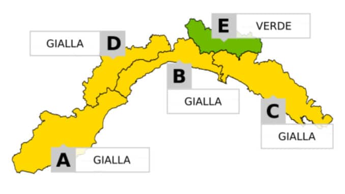 cartina allerta
