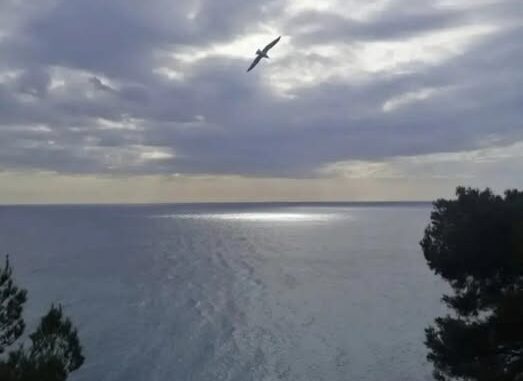 planare come un gabbiano al ciel sereno