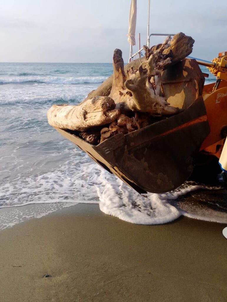 Ad Alassio pulizia straordinaria delle spiagge libere