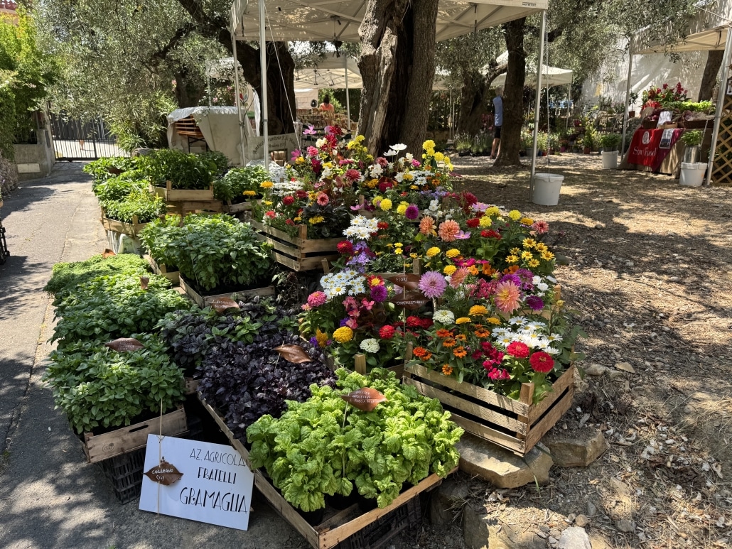 Festa delle Erbe a Rollo di Andora
