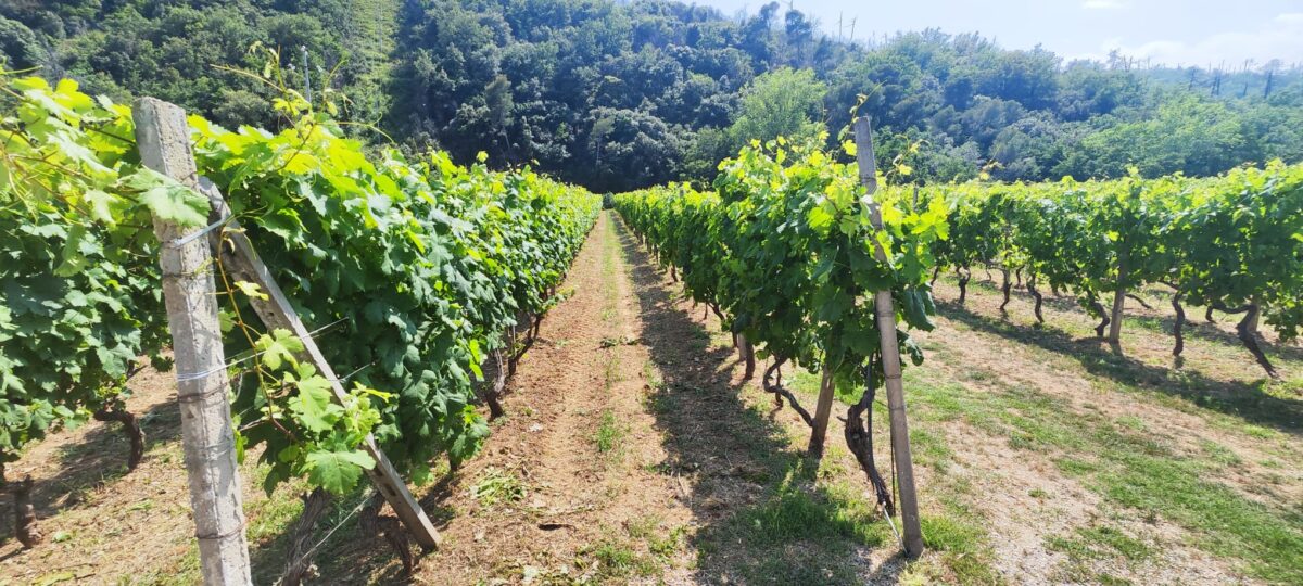 Tour Cia aziende agricole