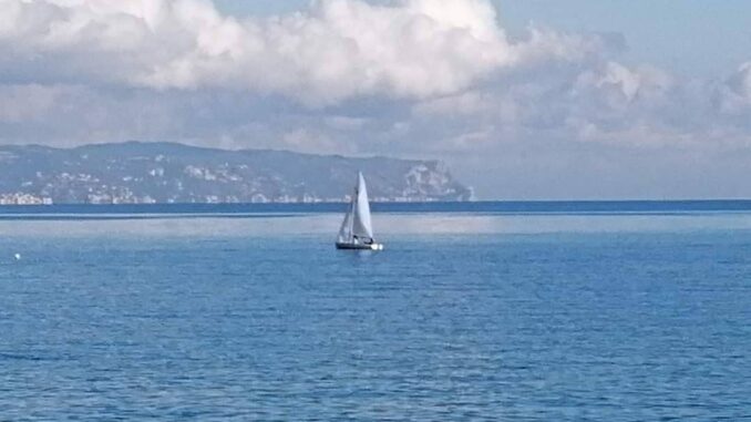 vele azzurre corrono in costa