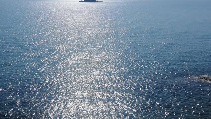 squille all'orizzonte