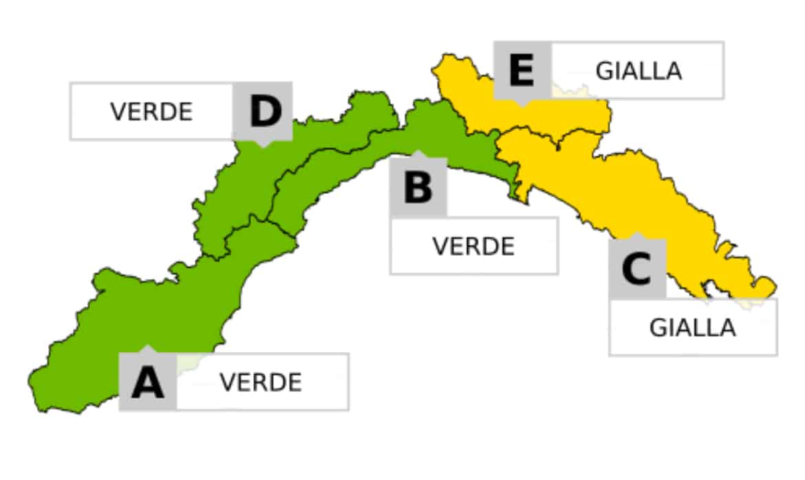 Cartina allerta