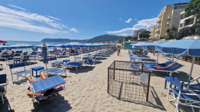 Nidificazione tartaruga Caretta caretta ad Alassio Bagni Iris