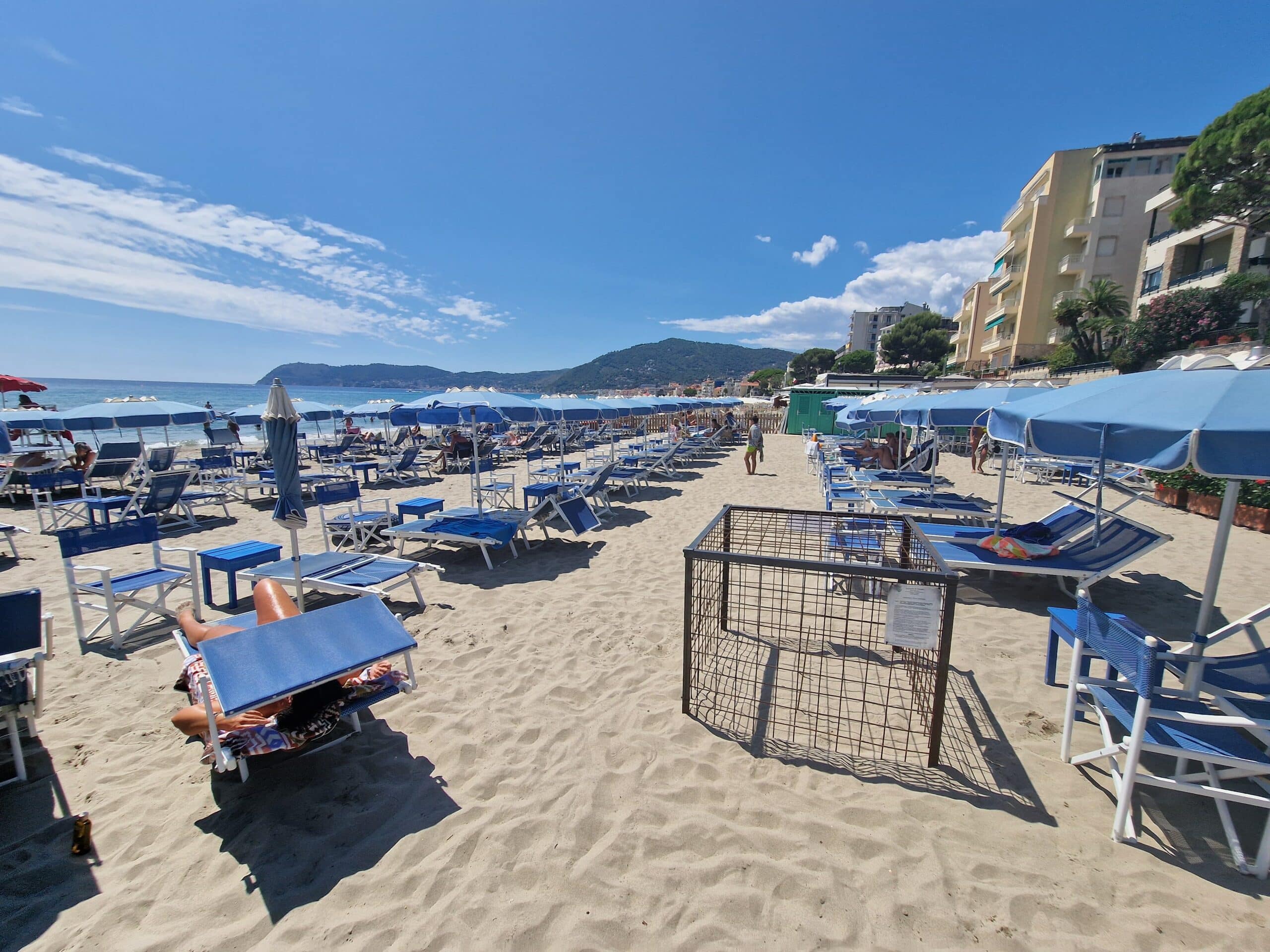 Nidificazione tartaruga Caretta caretta ad Alassio Bagni Iris