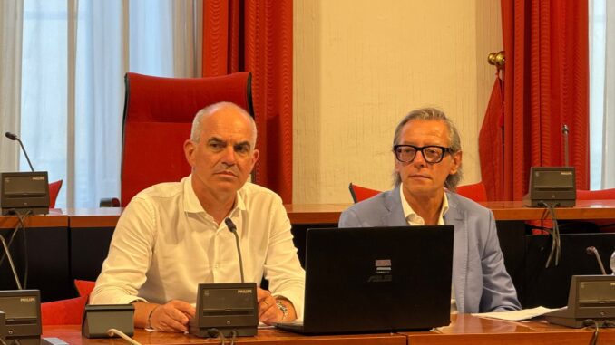 Cangiano e Tomatis commissione sanità