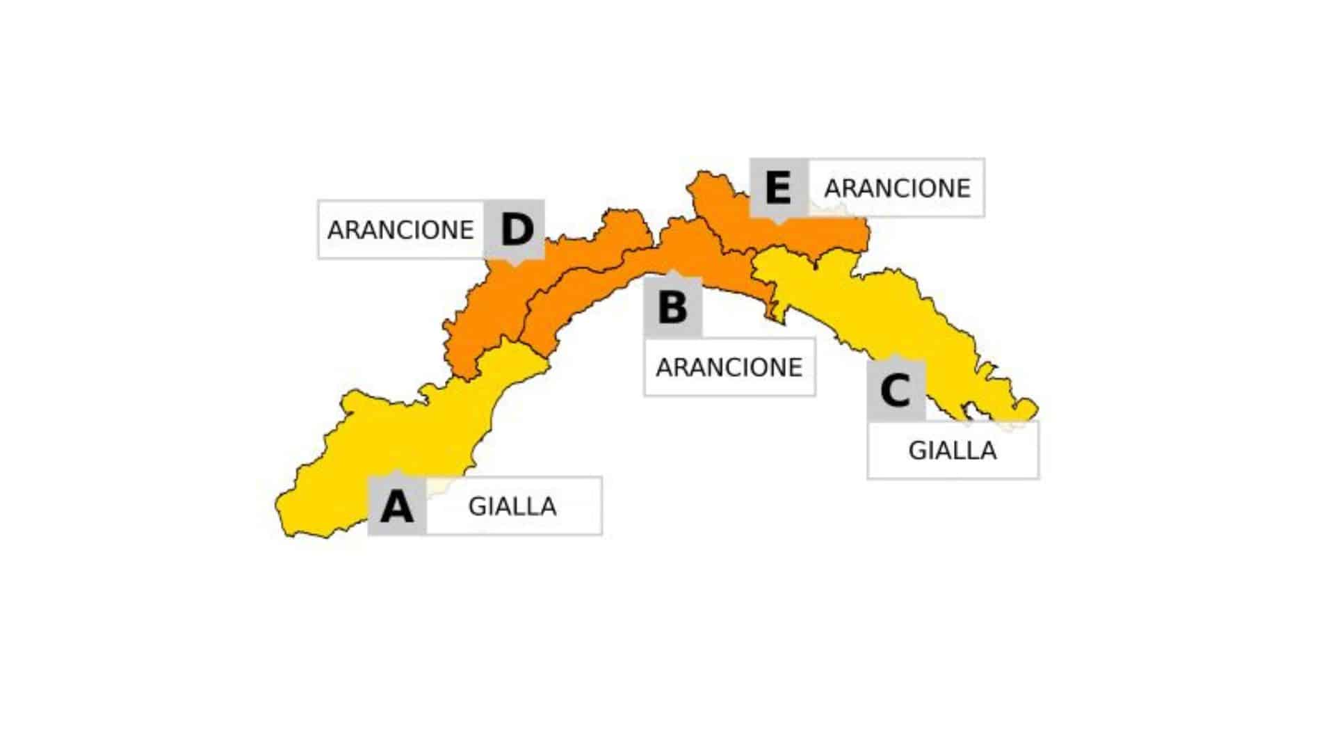 Cartina allerta