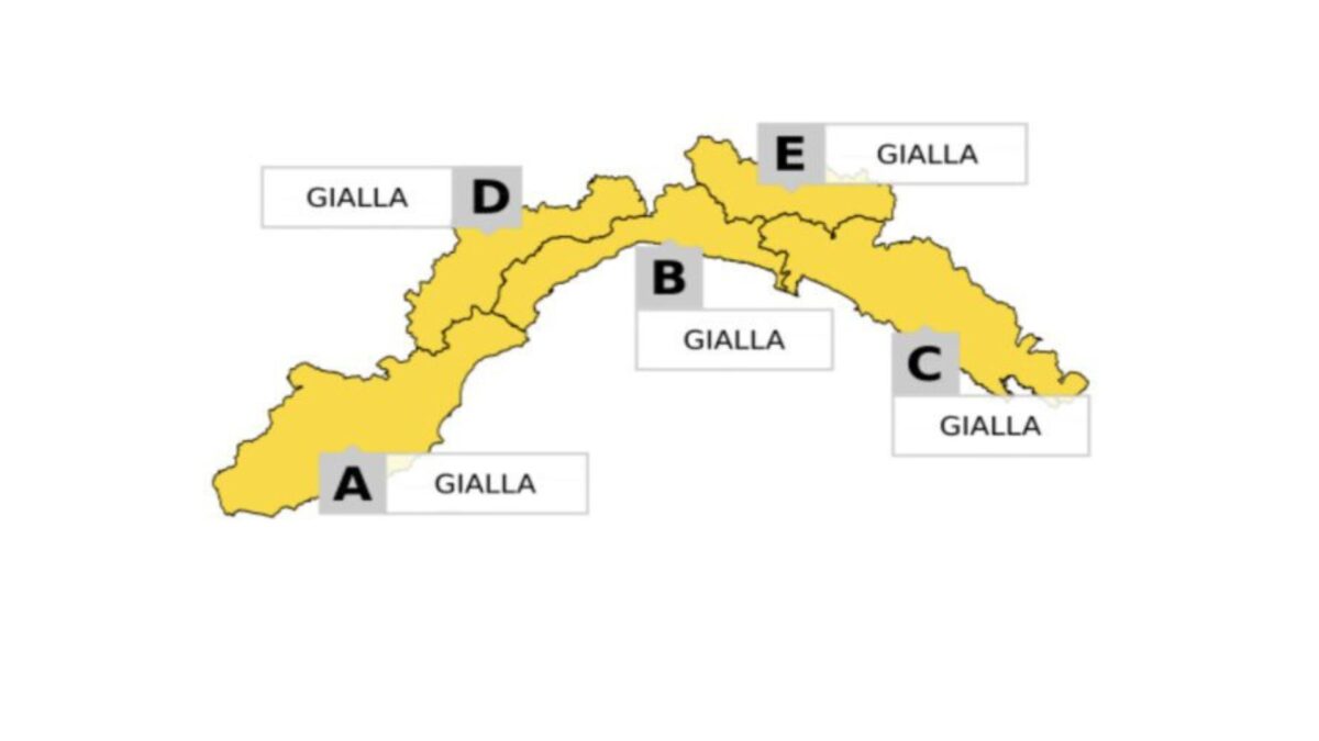 Cartina allerta