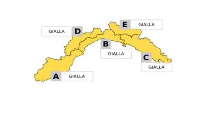Cartina allerta