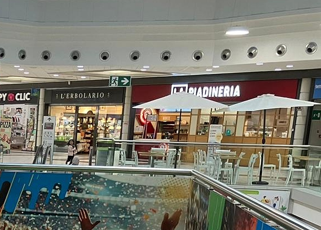 Gabbiano Savona