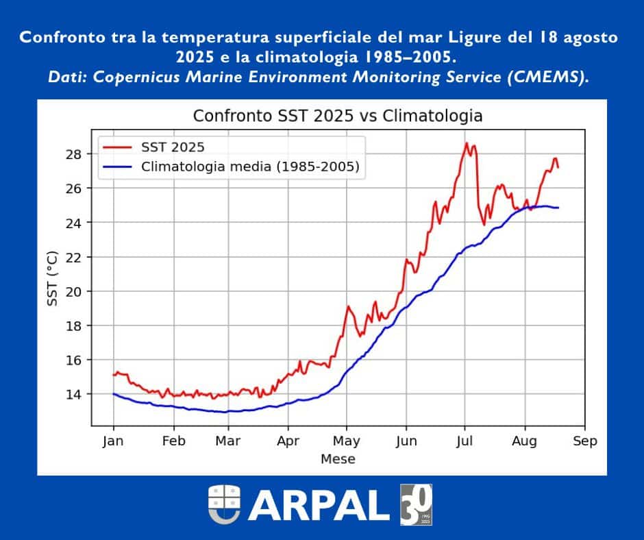 confronto-temperatura-mare-media-climatica