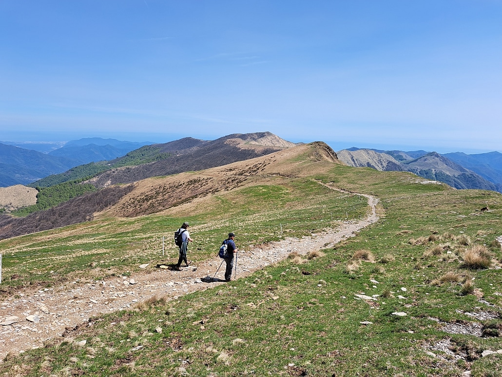 monte fronte