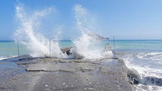 le piccole furie del mare