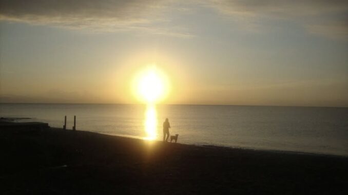 rapiti da una macchia di sole(1)