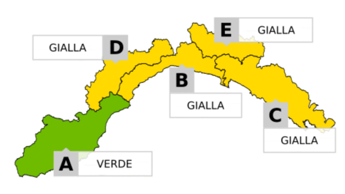 Cartina allerta