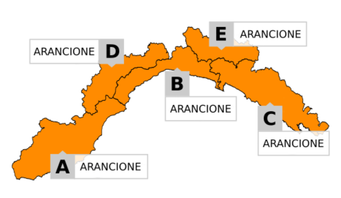 Cartina allerta