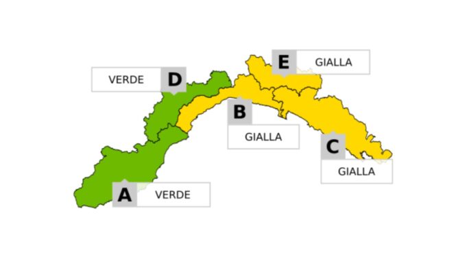 Cartina allerta