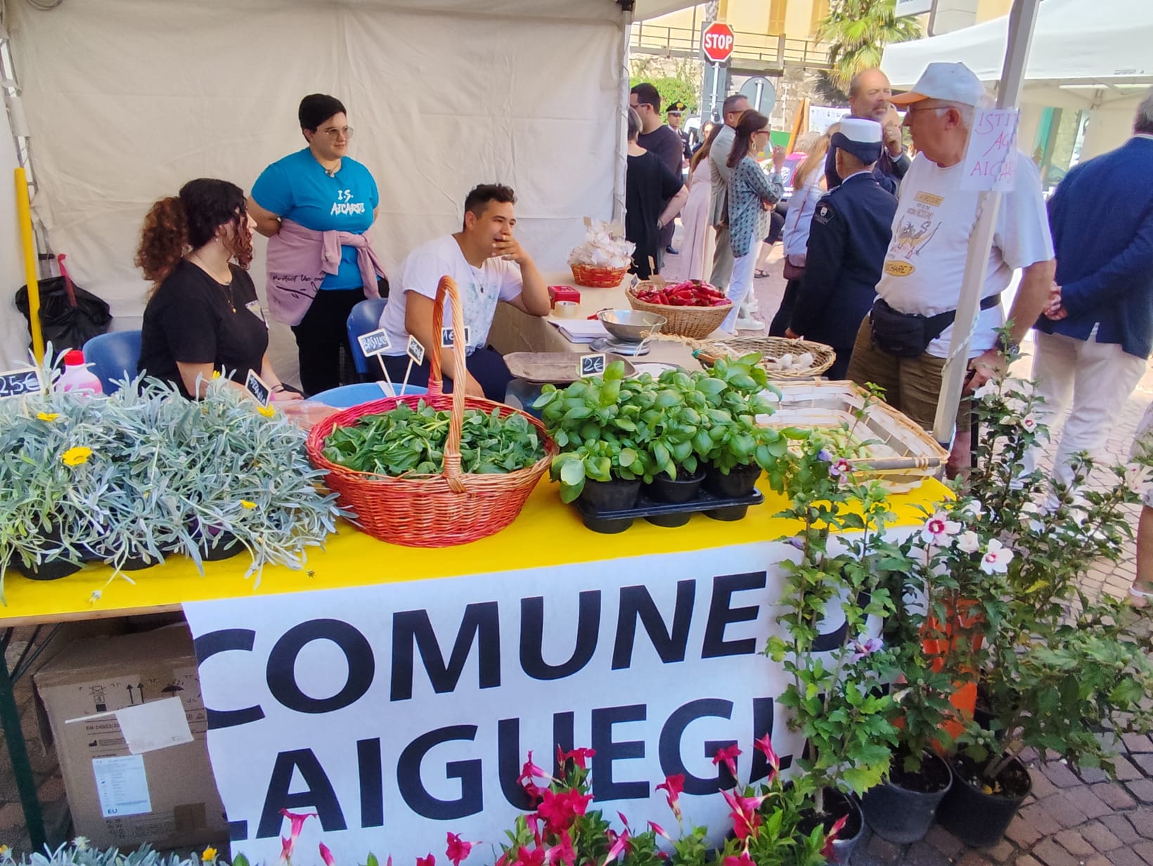 Fiera San Matteo a Laigueglia