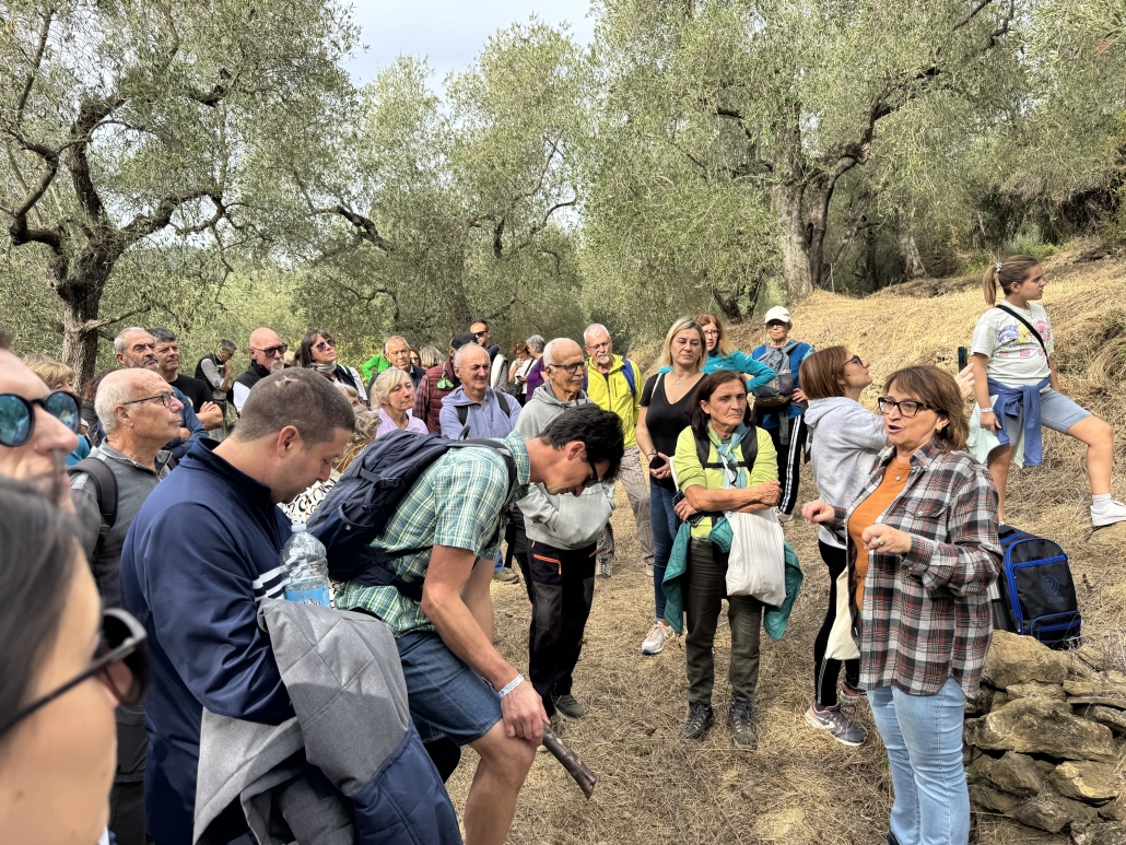 Camminata tra gli ulivi ad Andora