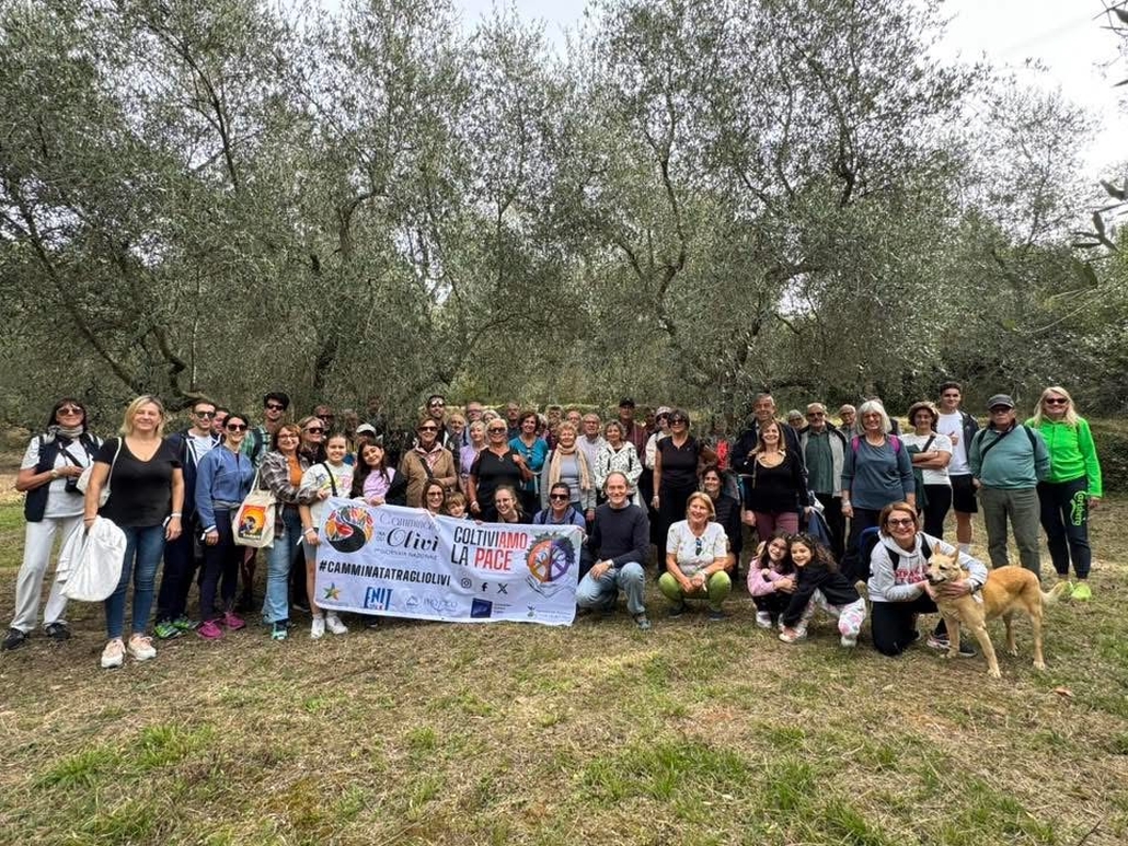 Camminata tra gli ulivi ad Andora