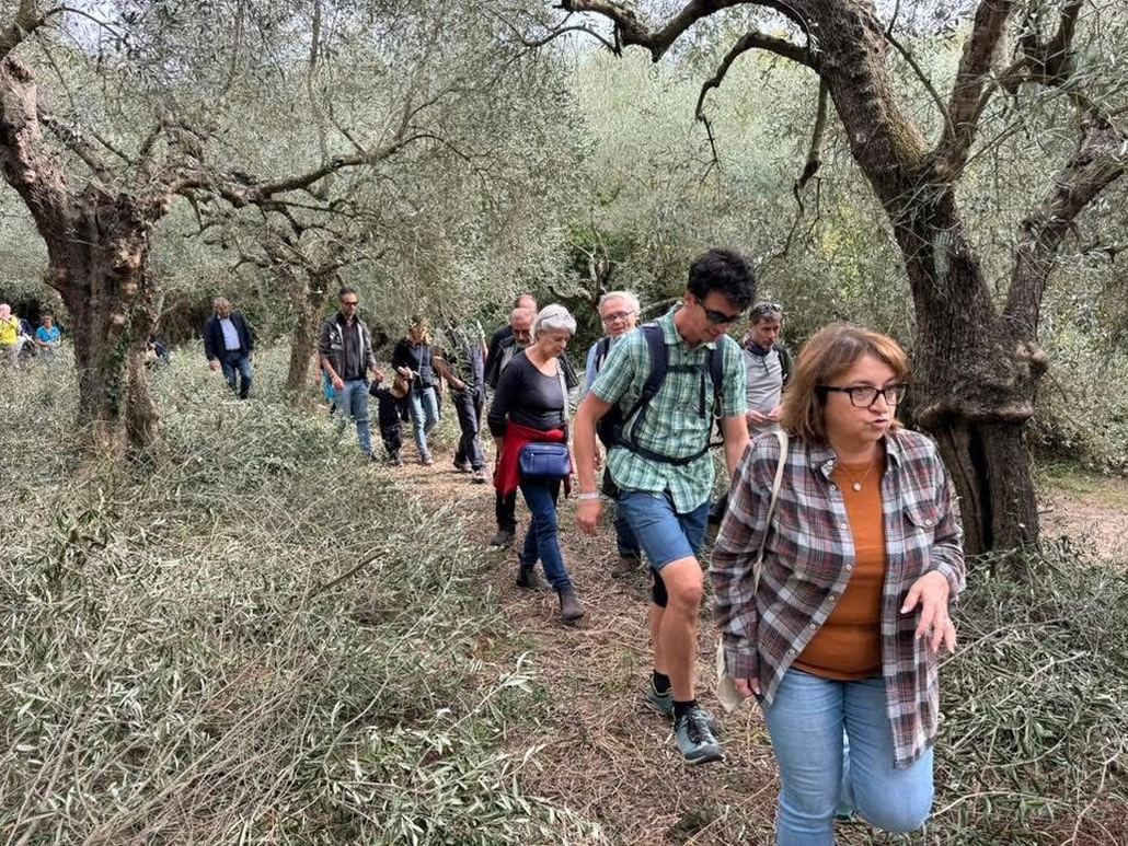 Camminata tra gli ulivi ad Andora