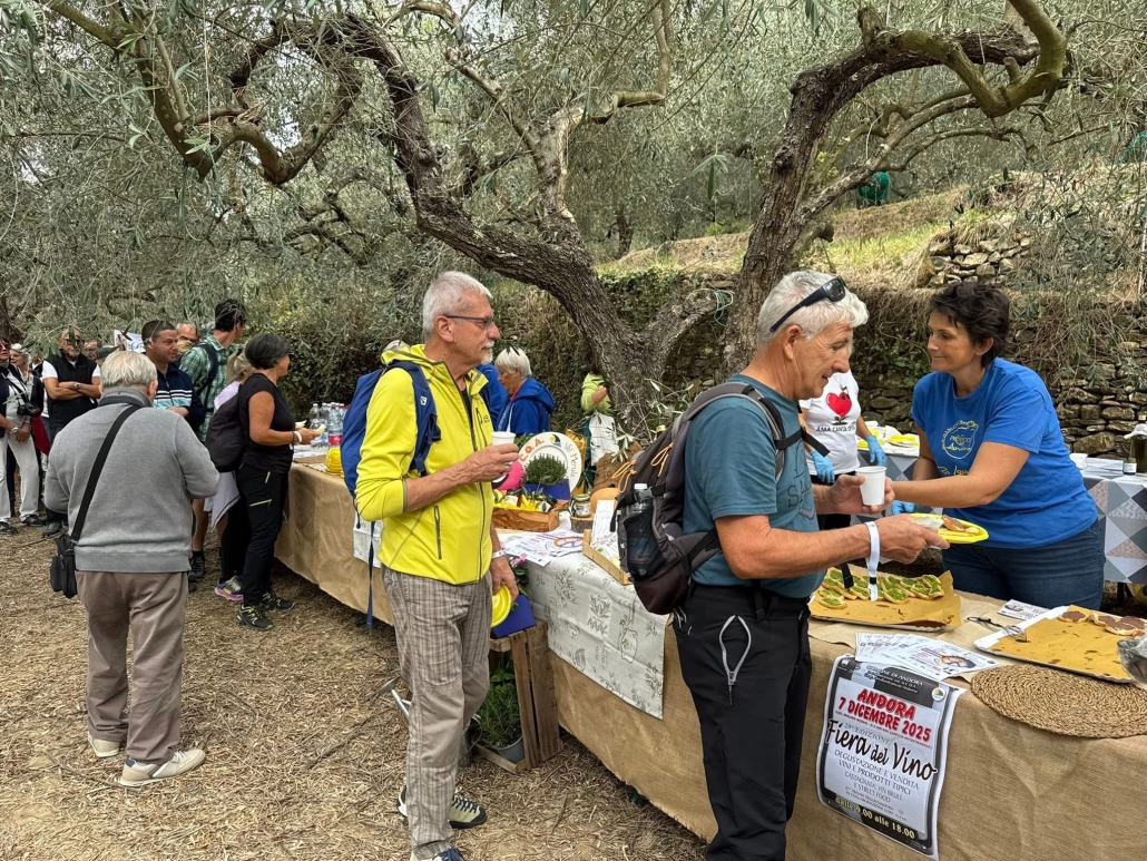 Camminata tra gli ulivi ad Andora