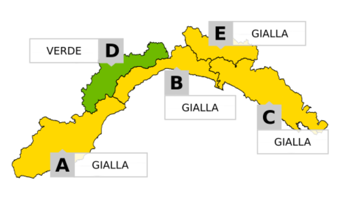 Cartina allerta