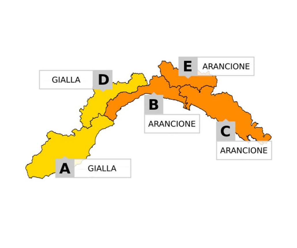 Cartina allerta