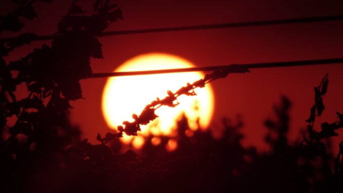rosso di sera