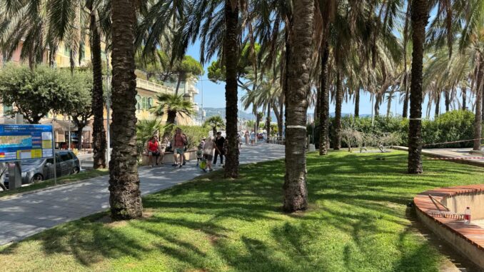 Palme Giardini Nassiriya 01